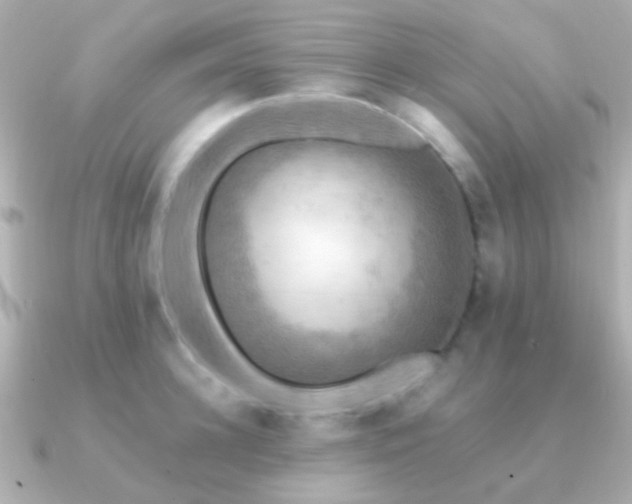X0000091200948200708091304