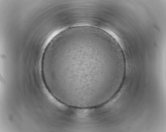 X0000091200949200708091304