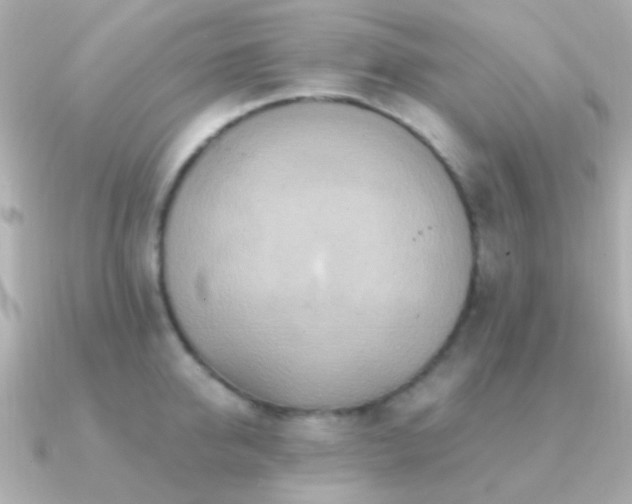 X0000091200950200708091304