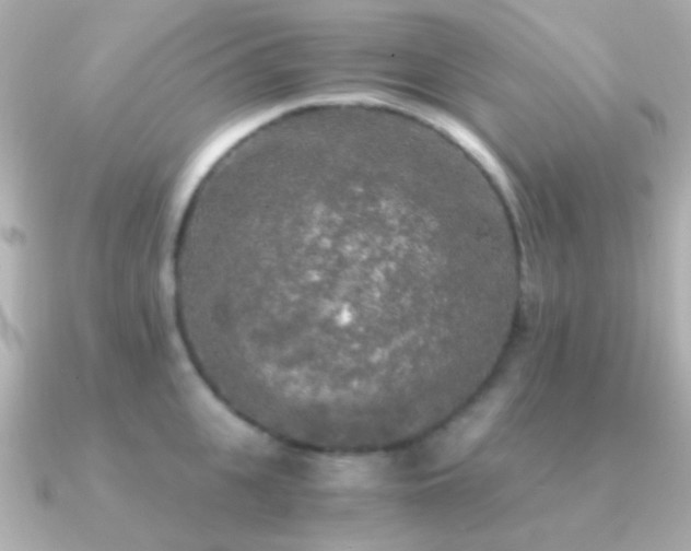 X0000091200951200708091305