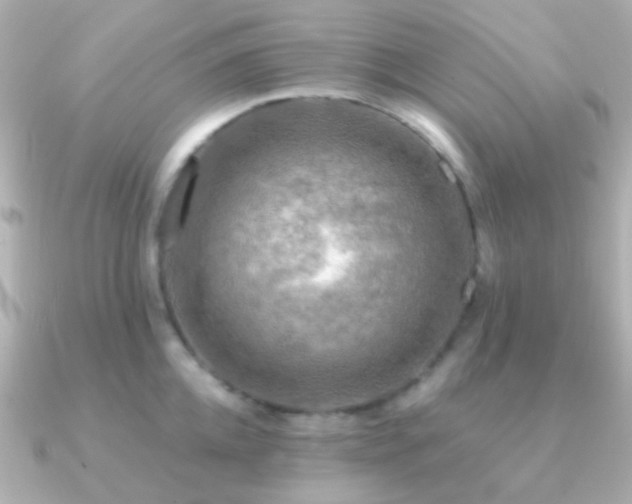 X0000091200952200708091305