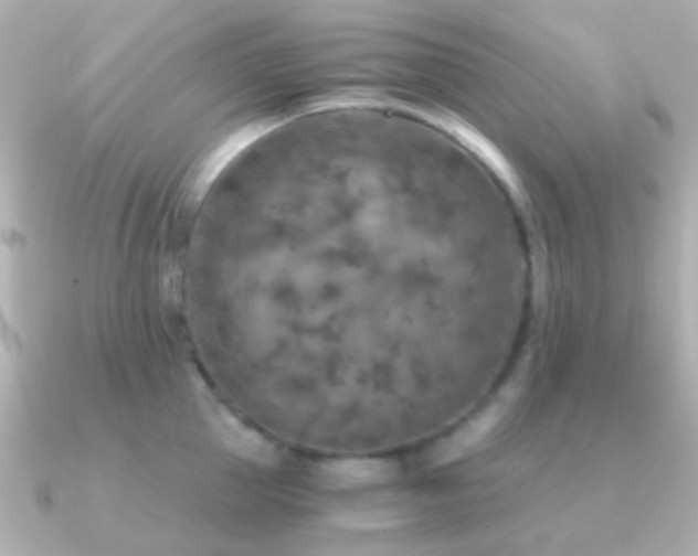 X0000091200953200708091305