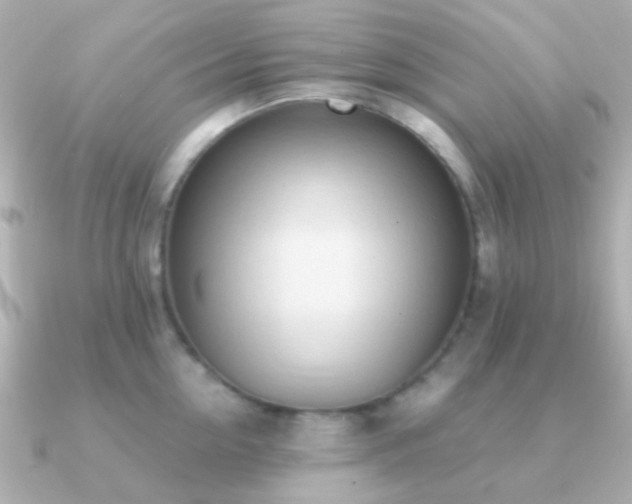 X0000091200954200708091305