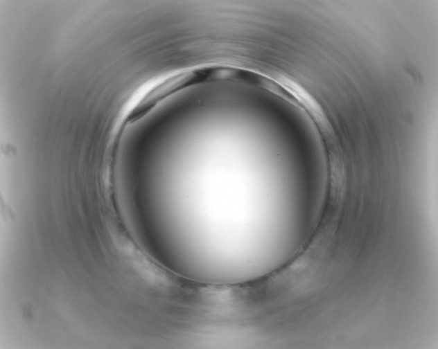 X0000091200956200708091305