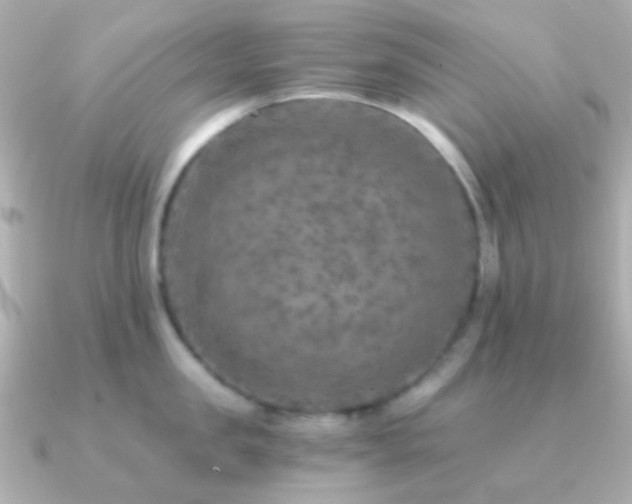 X0000091200957200708091305