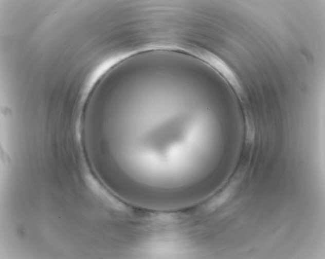 X0000091200958200708091305