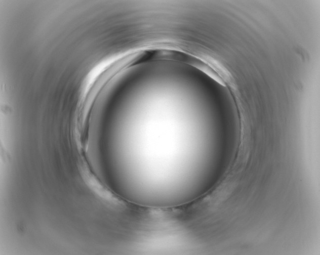 X0000091200960200708091305