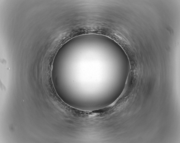 X0000091200961200708091304