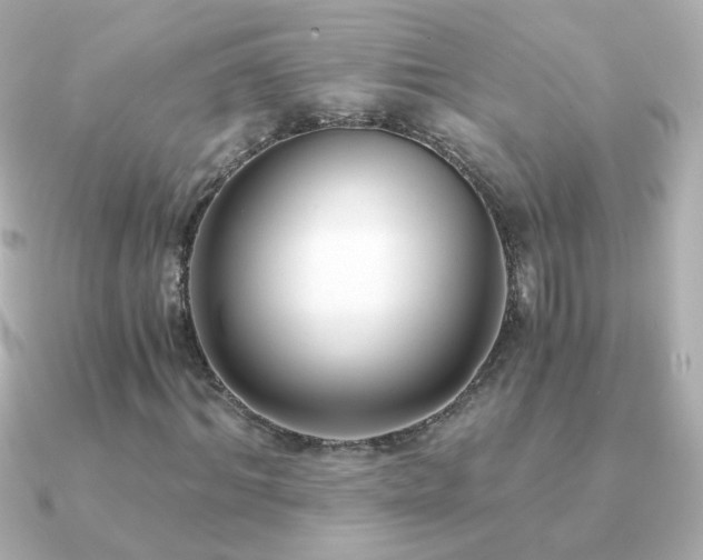 X0000091200964200708091304