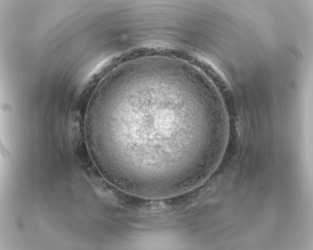 X0000091200968200708091304