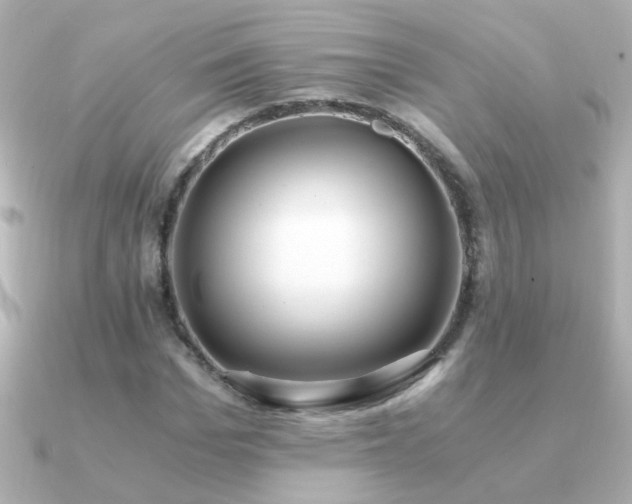 X0000091200969200708091304
