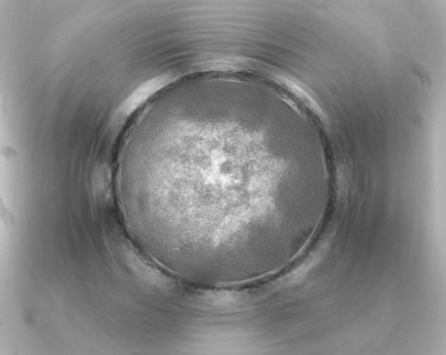 X0000091200970200708091304