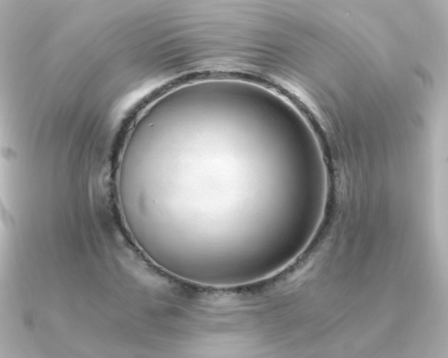 X0000091200971200708091304