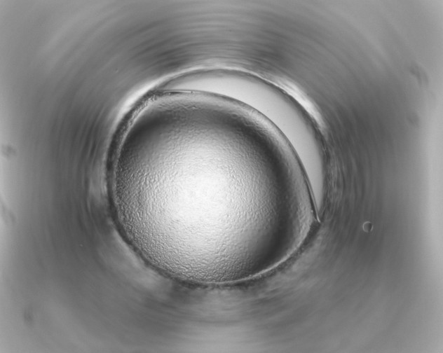 X0000091200972200708091304