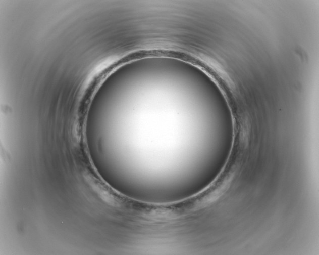 X0000091200974200708091304