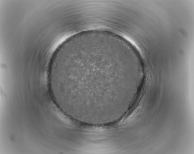 X0000091200975200708091304