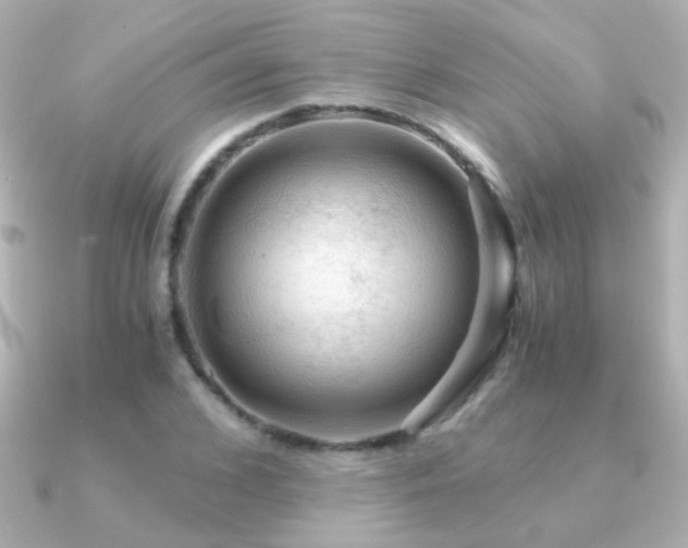X0000091200976200708091304