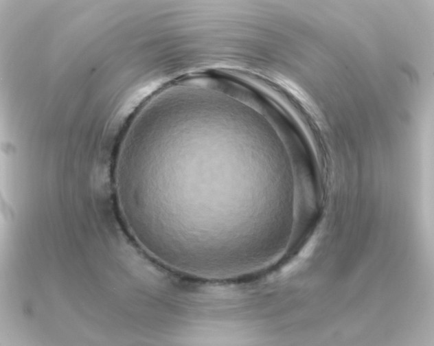 X0000091200977200708091304