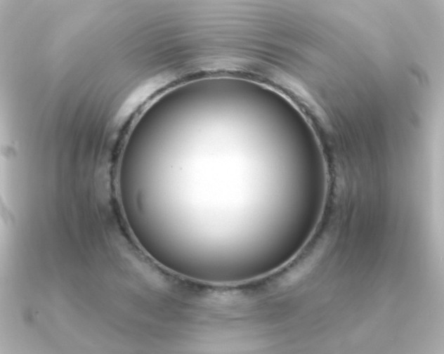 X0000091200978200708091304