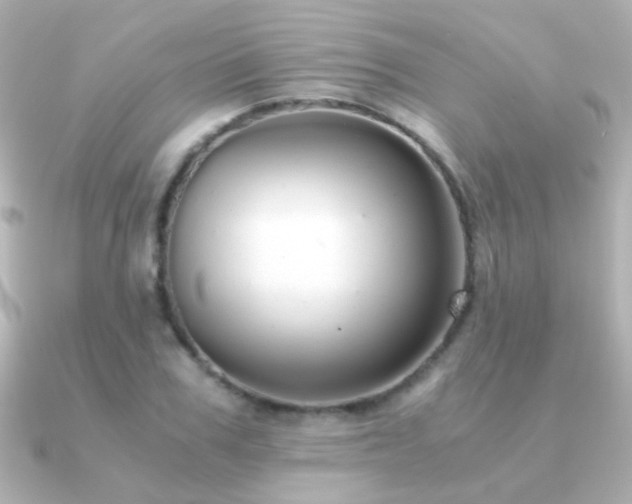 X0000091200979200708091304