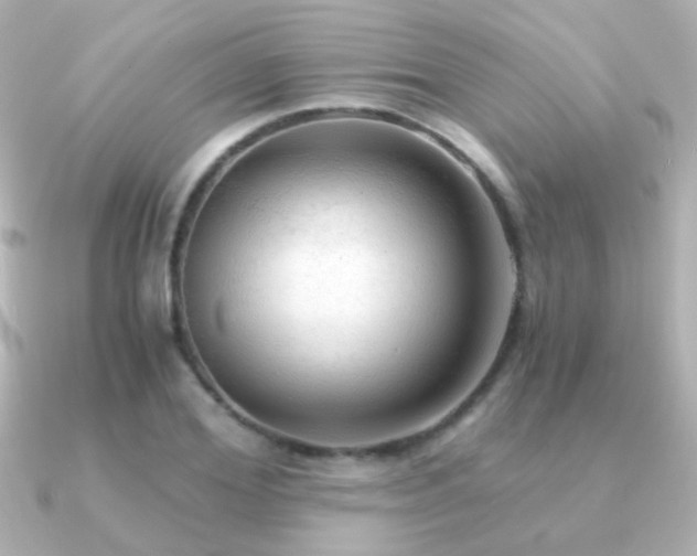 X0000091200980200708091304