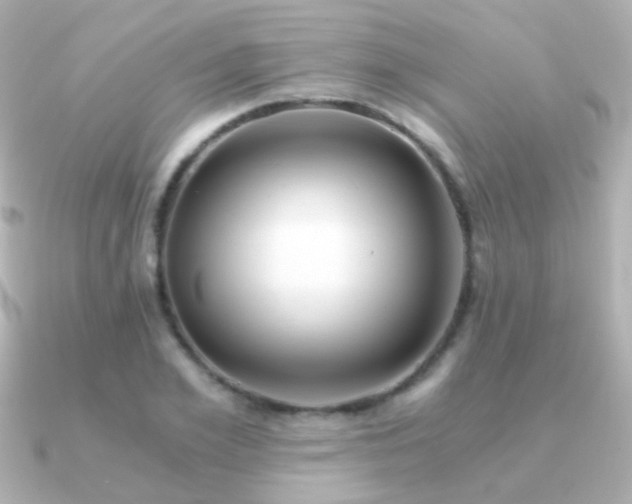 X0000091200981200708091304