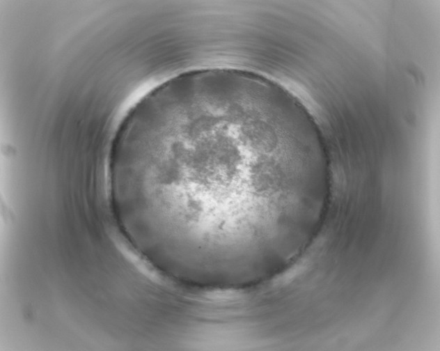 X0000091200982200708091304