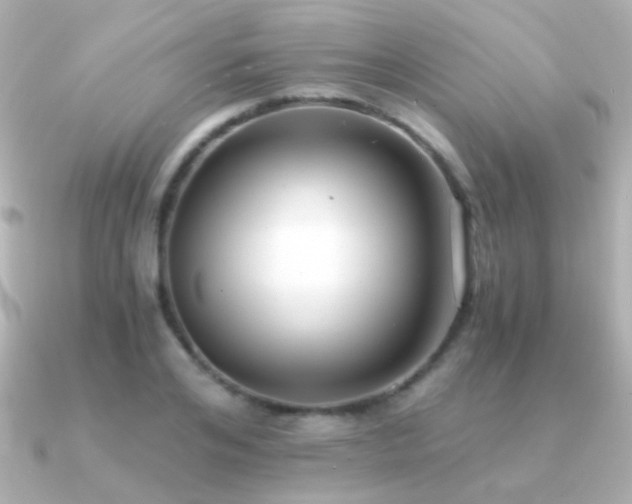 X0000091200984200708091304