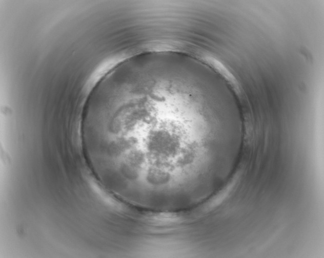 X0000091200986200708091304