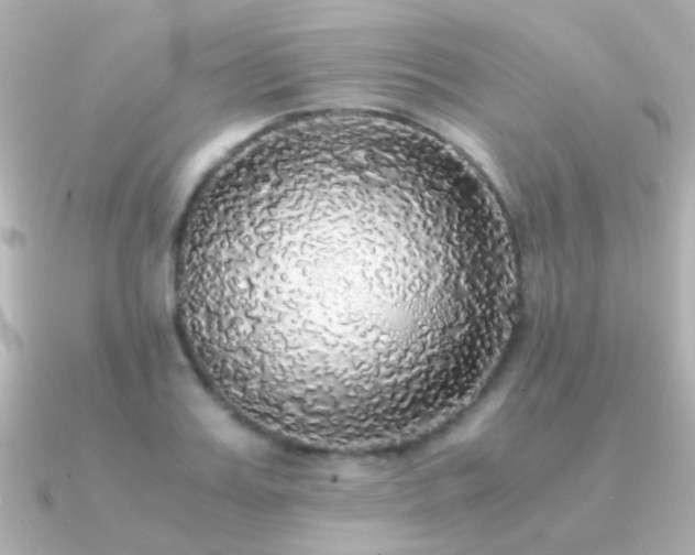X0000091200987200708091304