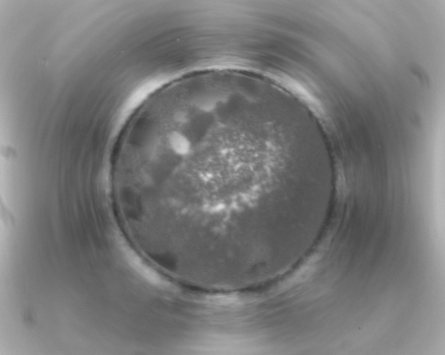 X0000091200990200708091304