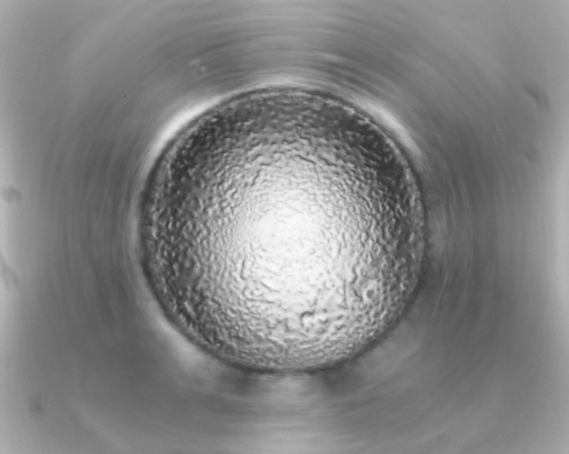 X0000091200991200708091304