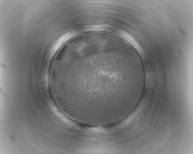 X0000091200994200708091304