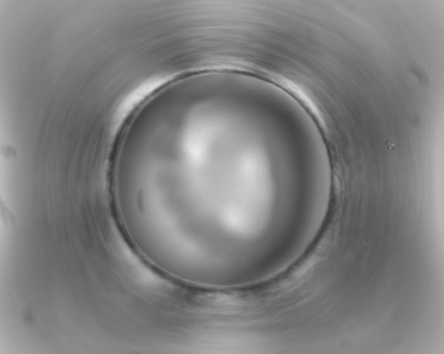 X0000091200995200708091304