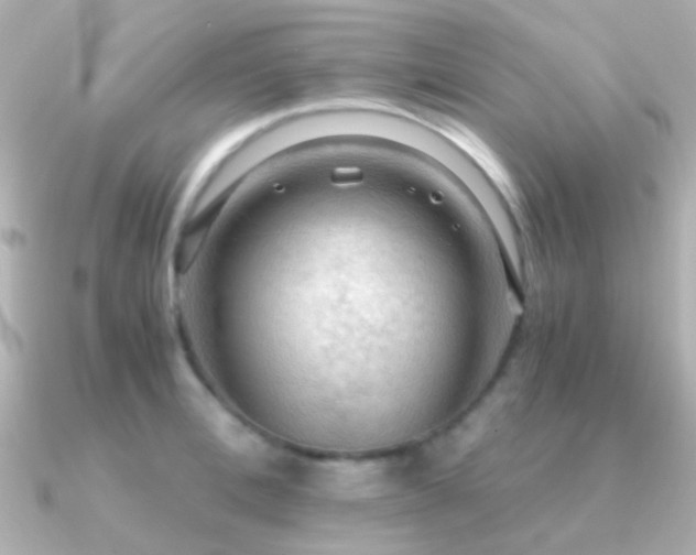 X0000091200996200708091304