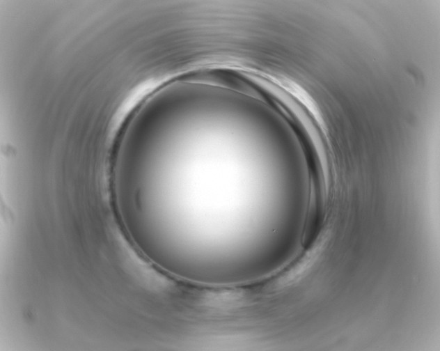 X0000091200997200708091304