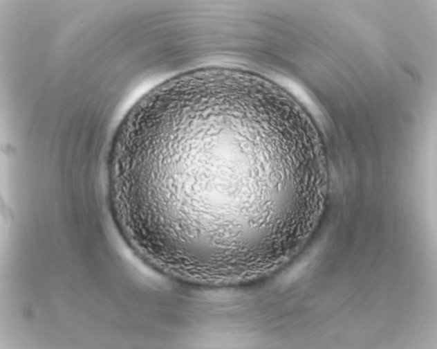 X0000091200999200708091304