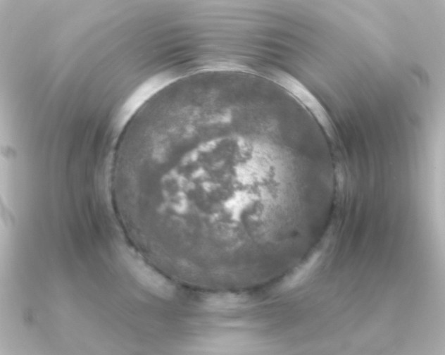 X0000091201002200708091304