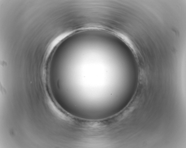 X0000091201003200708091304