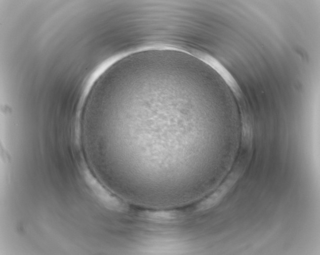 X0000091201004200708091304