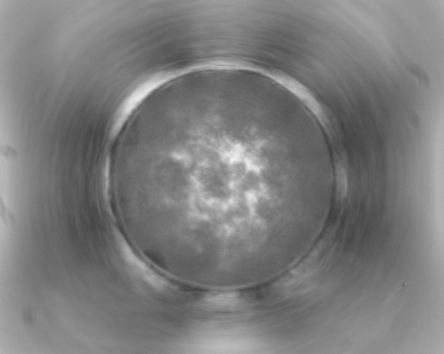 X0000091201006200708091304