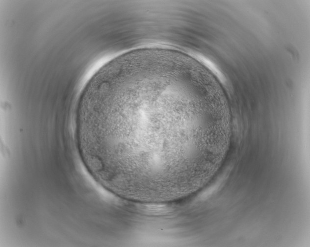 X0000091201007200708091304