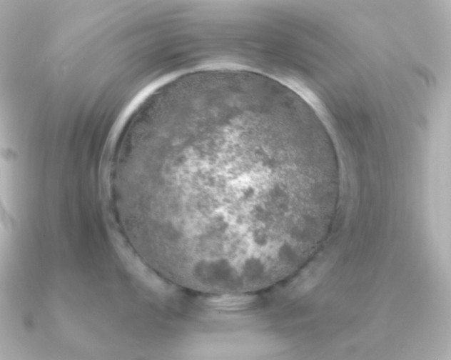 X0000091201008200708091304