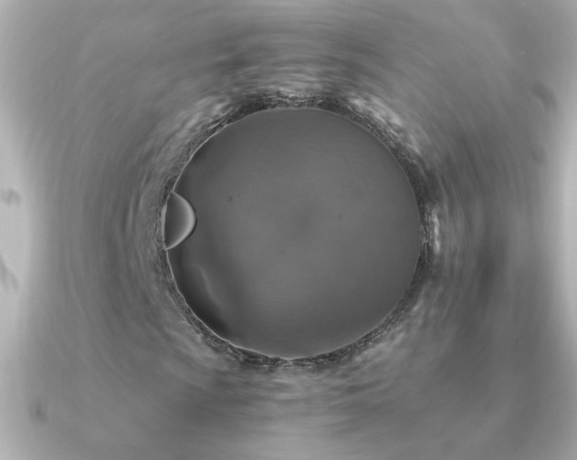 X0000091201009200708091303