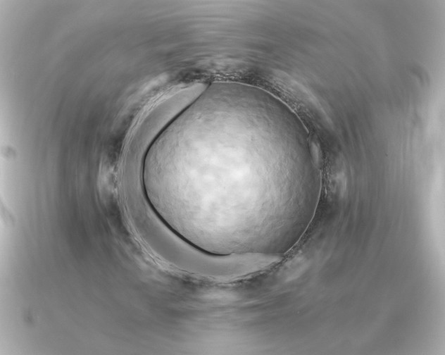 X0000091201010200708091303