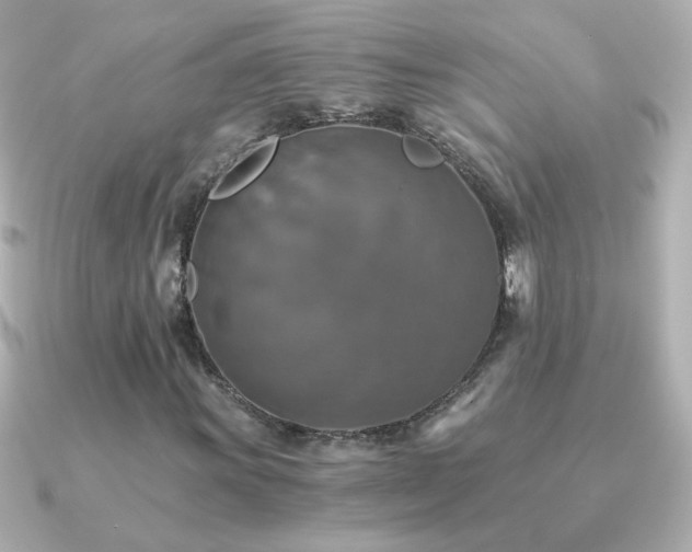 X0000091201011200708091303