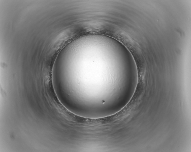 X0000091201012200708091303