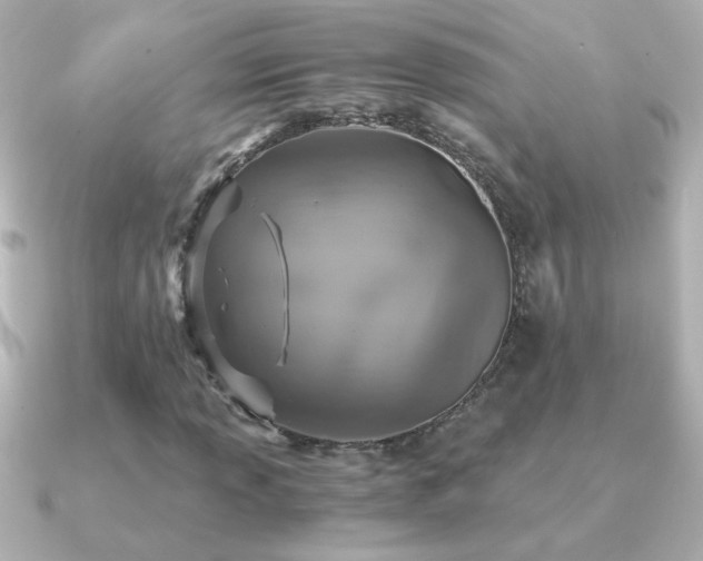 X0000091201013200708091303