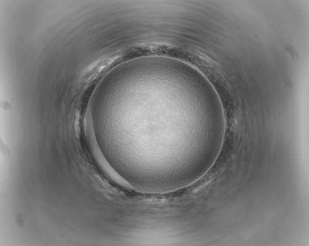 X0000091201014200708091303
