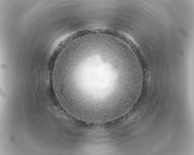X0000091201016200708091303